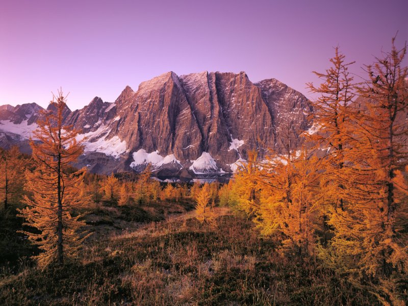 Twilight over Floe Lake